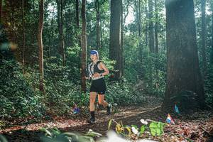 BIB: 
                            <button type="button" onclick="openModal(26076178)" class="btn btn-primary btn-sm float-right btn-popup" data-toggle="modal" data-target=".modal-high-quality">
                        <i class="fas fa-shopping-cart"></i> Add to Cart
                    </button>
                                            <button type="button" onclick="isThisMe(26076178, true)" class="btn btn-success btn-sm float-right btn-popup btn-isme hidden" data-toggle="tooltip" data-placement="bottom" title="นี่คือรูปของคุณใช่ไหม คลิกที่นี่เพื่อเอาเข้าอัลบั้ม">
                        <i class="fas fa-plus"></i> Add to album
                    </button>
                    <button type="button" onclick="isThisMe(26076178, false)" class="btn btn-warning btn-sm float-right btn-popup btn-isnotme hidden">
                        <i class="fas fa-ban"></i> Remove from album
                    </button>